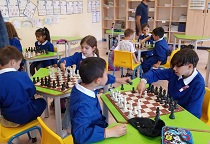 scacchi Copia